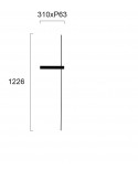 ΑΠΛΙΚΑ LED 14W 4222300 ΜΑΥΡΟ