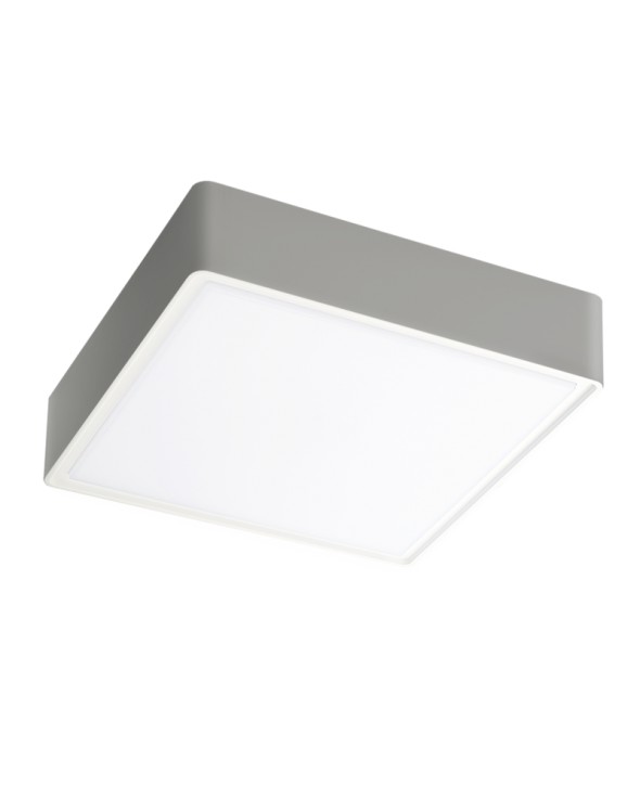 ΠΛΑΦΟΝΙΕΡΑ LED 4209300 20W IP65 ΓΚΡΙ